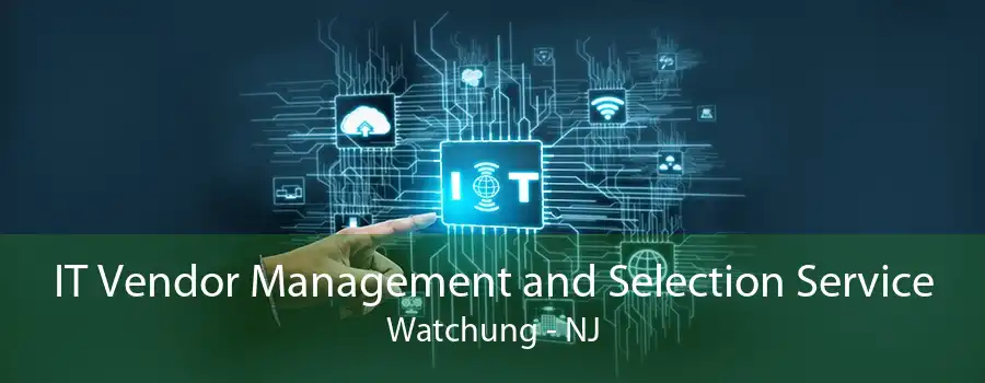 IT Vendor Management and Selection Service Watchung - NJ