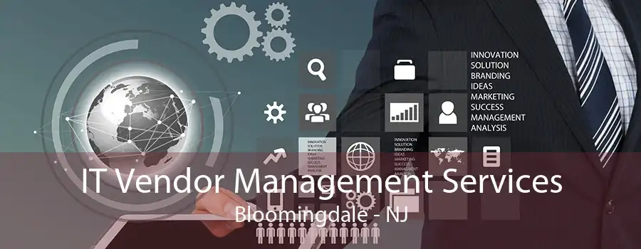 IT Vendor Management Services Bloomingdale - NJ