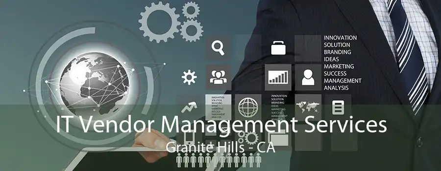 IT Vendor Management Services Granite Hills - CA