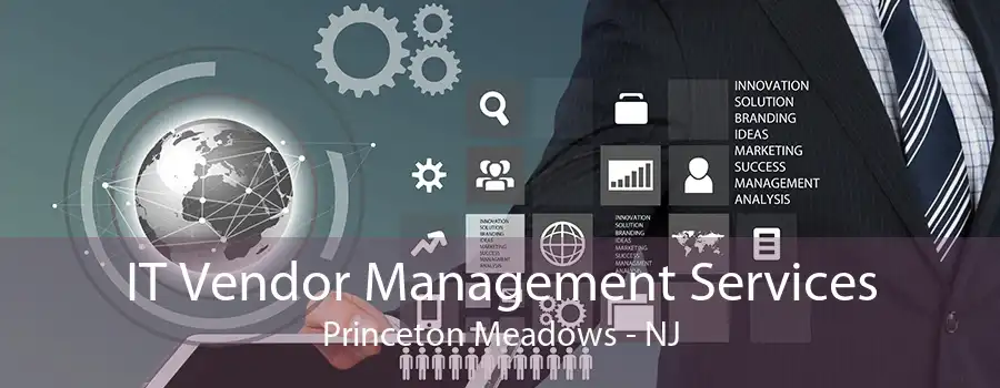 IT Vendor Management Services Princeton Meadows - NJ