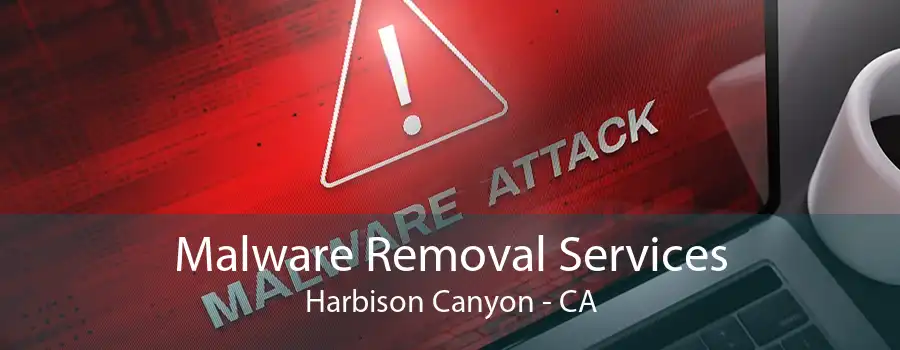 Malware Removal Services Harbison Canyon - CA