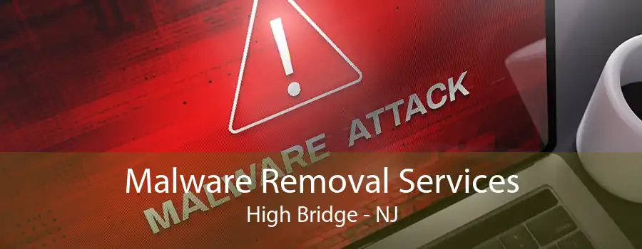 Malware Removal Services High Bridge - NJ