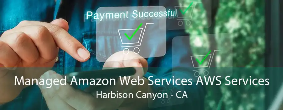 Managed Amazon Web Services AWS Services Harbison Canyon - CA