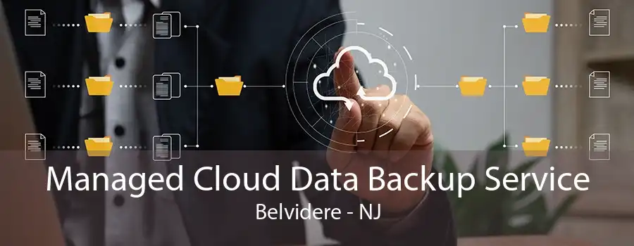 Managed Cloud Data Backup Service Belvidere - NJ