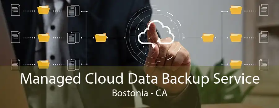 Managed Cloud Data Backup Service Bostonia - CA