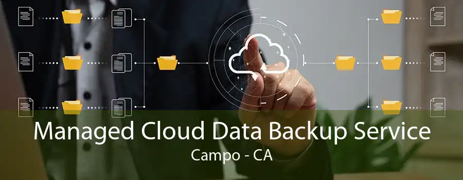 Managed Cloud Data Backup Service Campo - CA