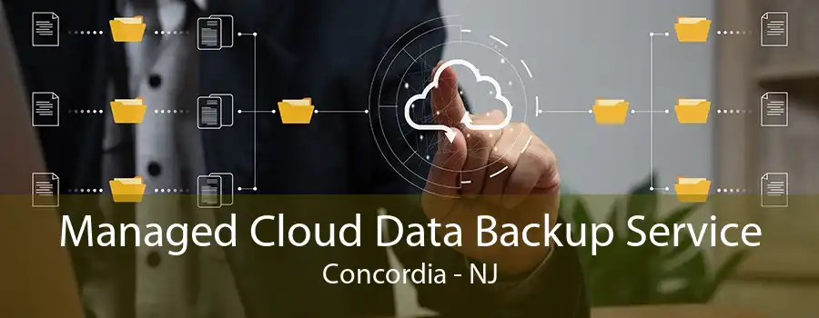 Managed Cloud Data Backup Service Concordia - NJ