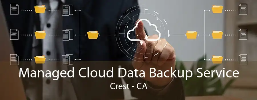 Managed Cloud Data Backup Service Crest - CA