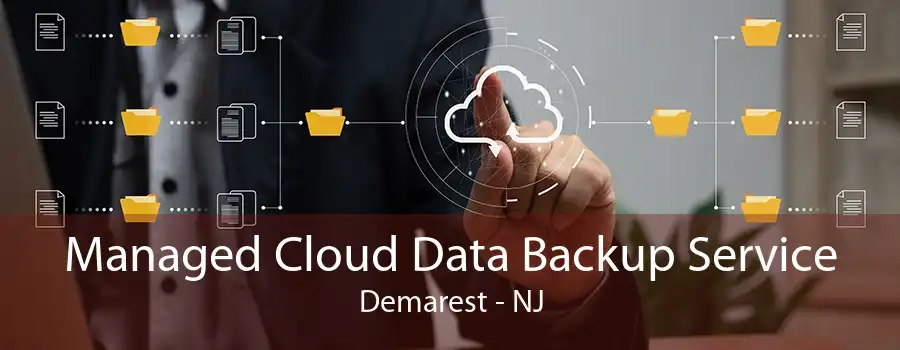 Managed Cloud Data Backup Service Demarest - NJ