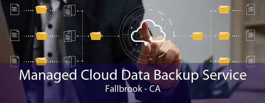 Managed Cloud Data Backup Service Fallbrook - CA