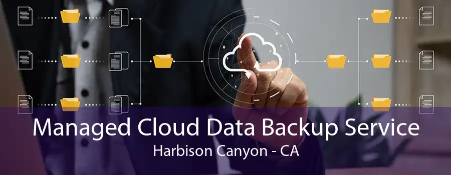 Managed Cloud Data Backup Service Harbison Canyon - CA