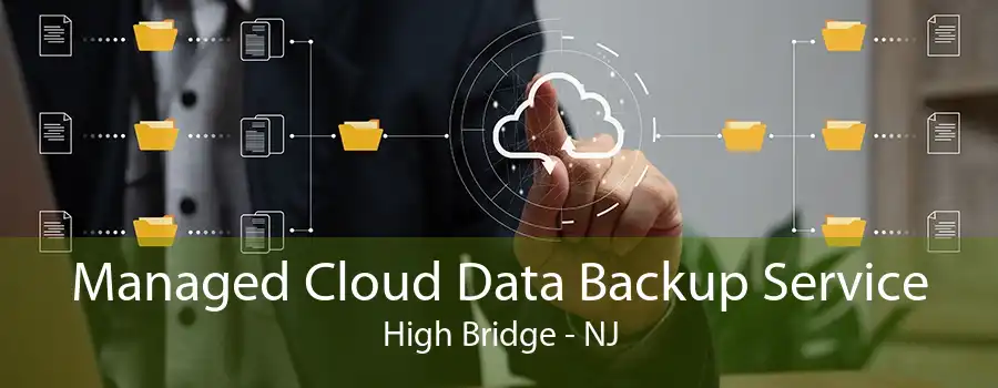 Managed Cloud Data Backup Service High Bridge - NJ