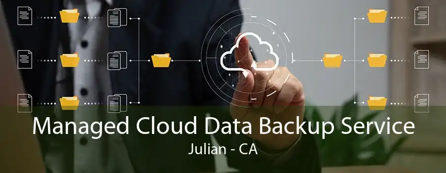 Managed Cloud Data Backup Service Julian - CA