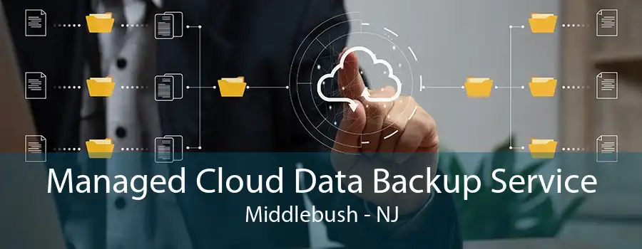 Managed Cloud Data Backup Service Middlebush - NJ