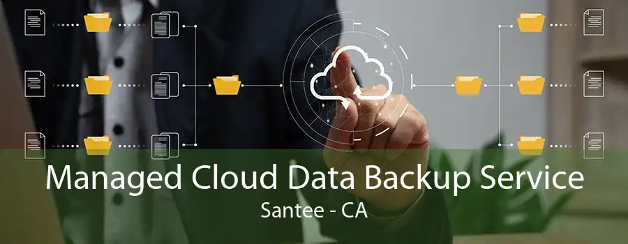 Managed Cloud Data Backup Service Santee - CA