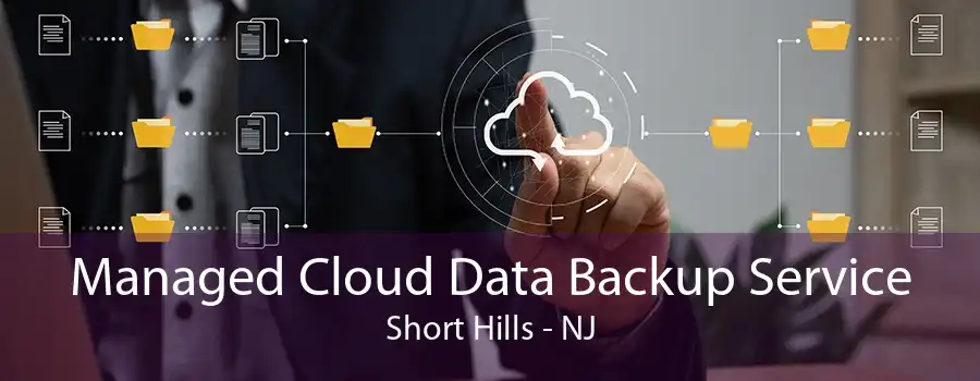 Managed Cloud Data Backup Service Short Hills - NJ