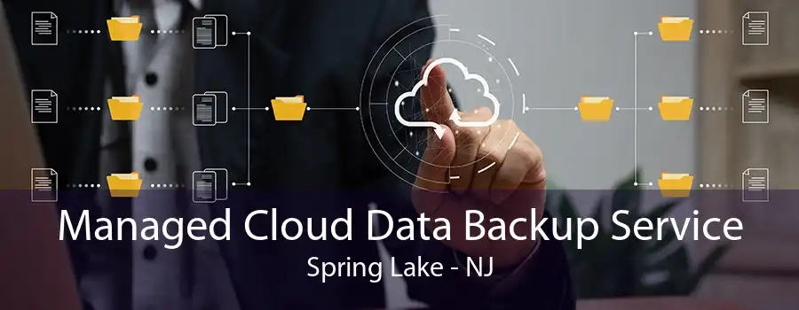 Managed Cloud Data Backup Service Spring Lake - NJ