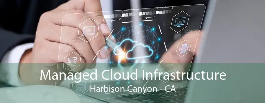 Managed Cloud Infrastructure Harbison Canyon - CA