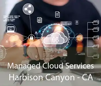 Managed Cloud Services Harbison Canyon - CA