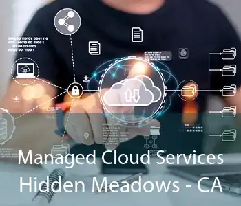 Managed Cloud Services Hidden Meadows - CA