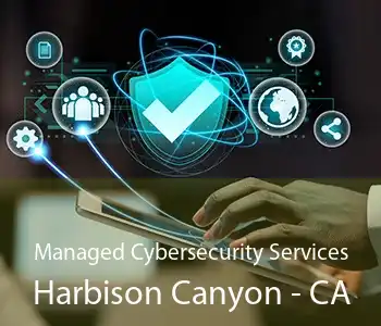 Managed Cybersecurity Services Harbison Canyon - CA