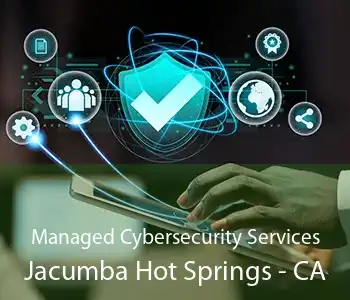 Managed Cybersecurity Services Jacumba Hot Springs - CA