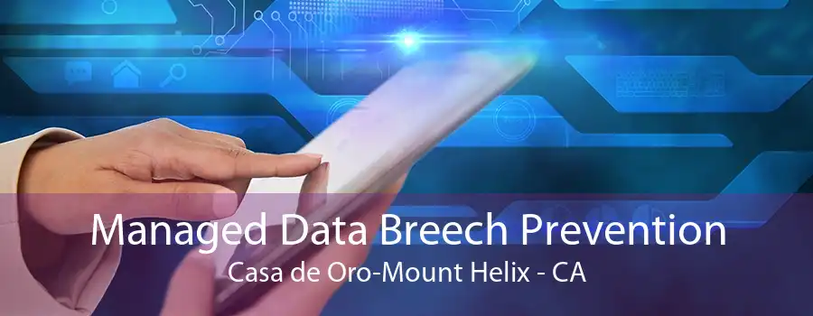 Managed Data Breech Prevention Casa de Oro-Mount Helix - CA