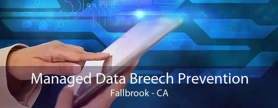 Managed Data Breech Prevention Fallbrook - CA