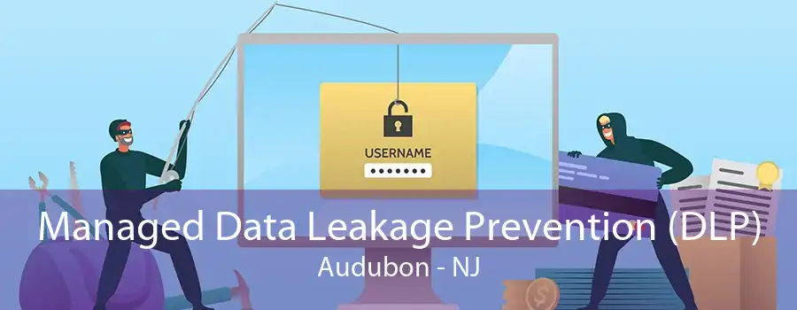 Managed Data Leakage Prevention (DLP) Audubon - NJ