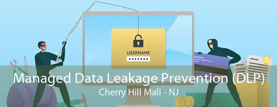 Managed Data Leakage Prevention (DLP) Cherry Hill Mall - NJ