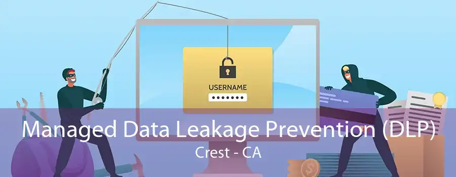 Managed Data Leakage Prevention (DLP) Crest - CA