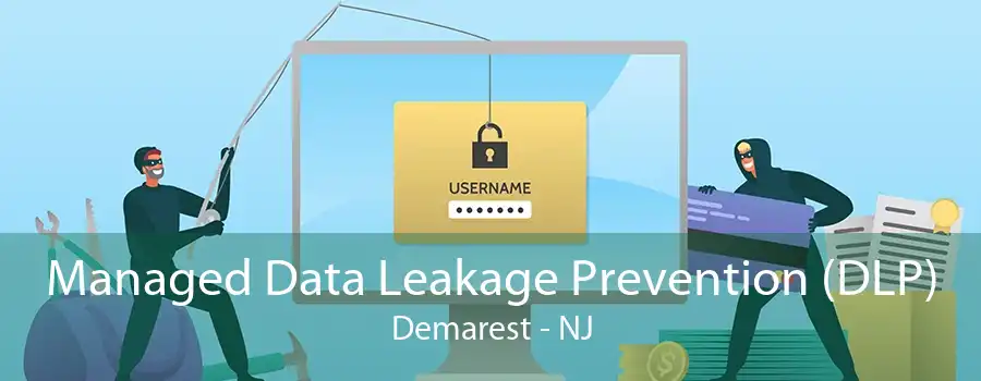 Managed Data Leakage Prevention (DLP) Demarest - NJ