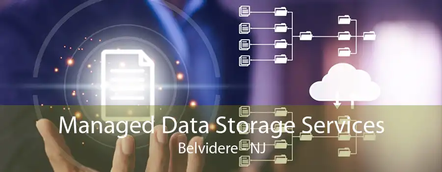 Managed Data Storage Services Belvidere - NJ