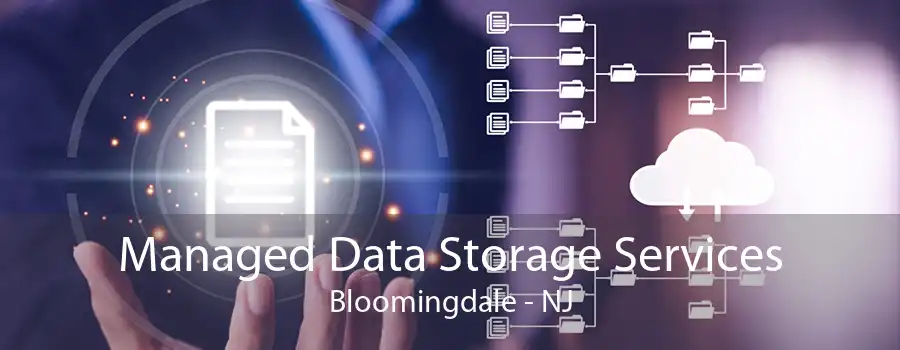 Managed Data Storage Services Bloomingdale - NJ