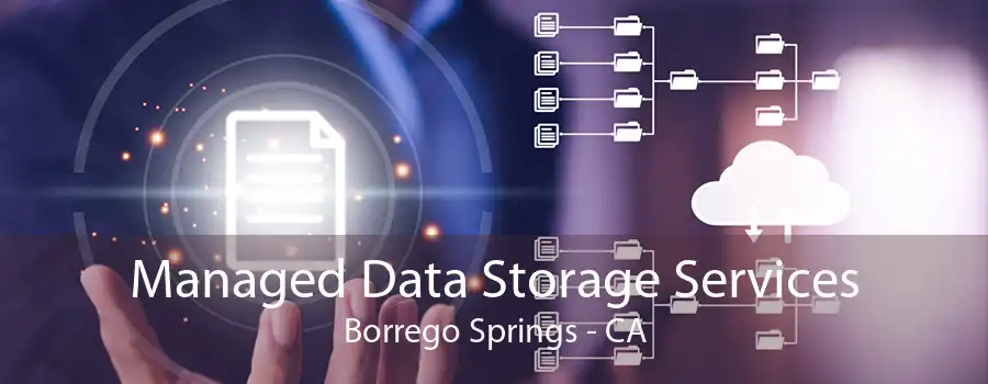 Managed Data Storage Services Borrego Springs - CA