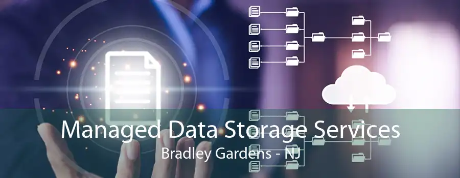 Managed Data Storage Services Bradley Gardens - NJ