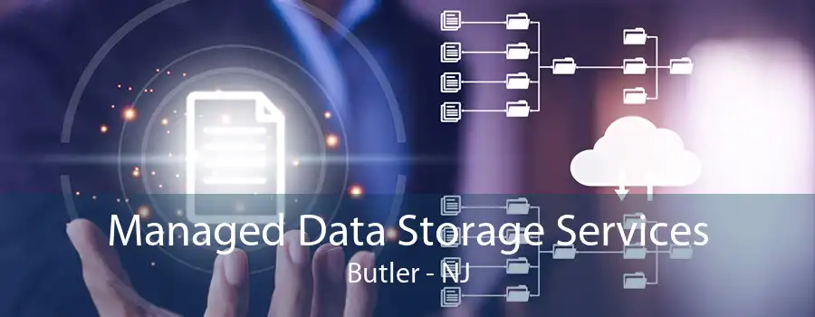 Managed Data Storage Services Butler - NJ