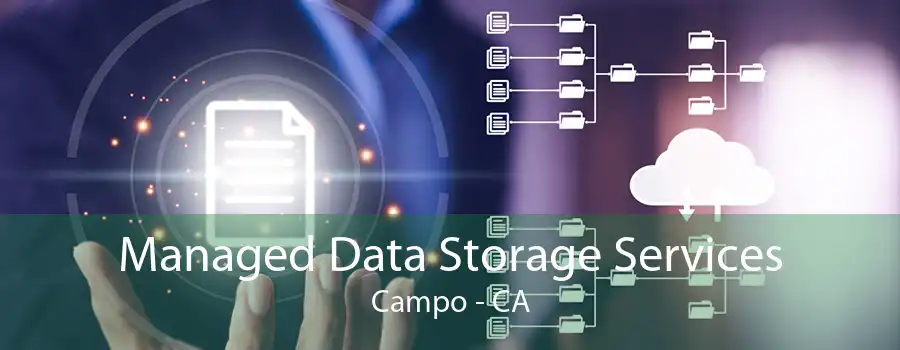 Managed Data Storage Services Campo - CA