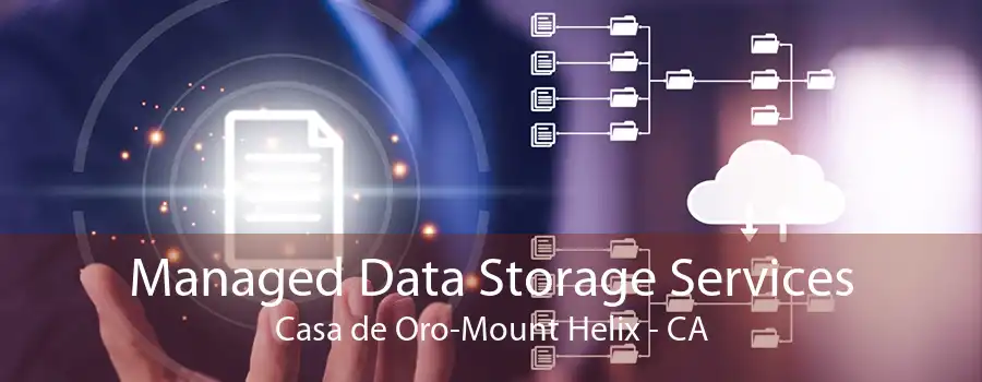 Managed Data Storage Services Casa de Oro-Mount Helix - CA