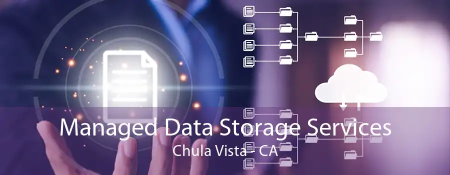 Managed Data Storage Services Chula Vista - CA