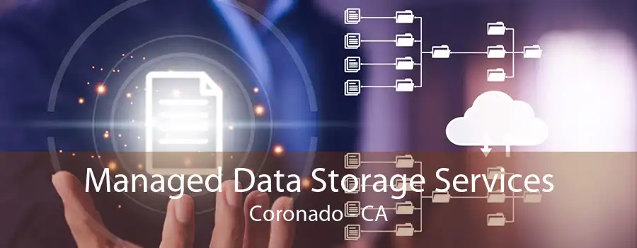 Managed Data Storage Services Coronado - CA