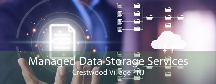 Managed Data Storage Services Crestwood Village - NJ