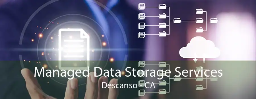 Managed Data Storage Services Descanso - CA