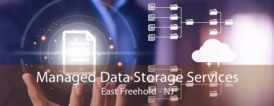 Managed Data Storage Services East Freehold - NJ