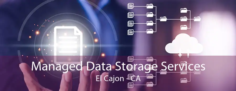 Managed Data Storage Services El Cajon - CA