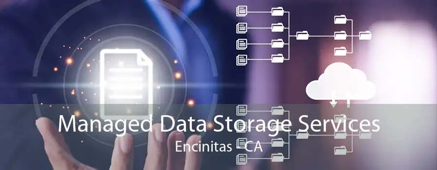 Managed Data Storage Services Encinitas - CA