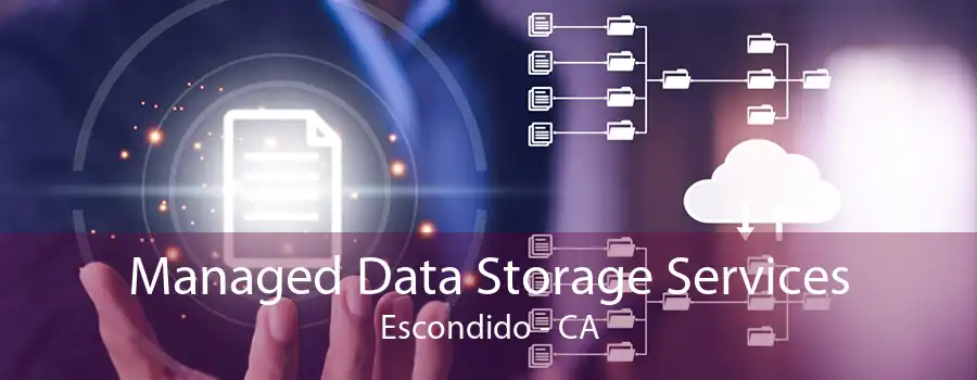 Managed Data Storage Services Escondido - CA