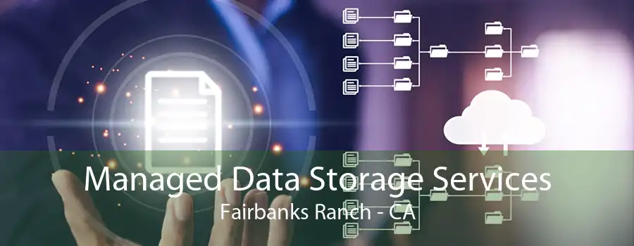 Managed Data Storage Services Fairbanks Ranch - CA