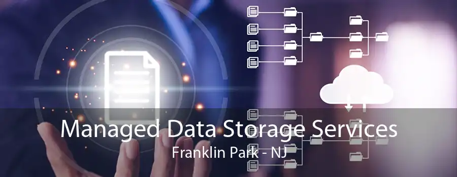 Managed Data Storage Services Franklin Park - NJ