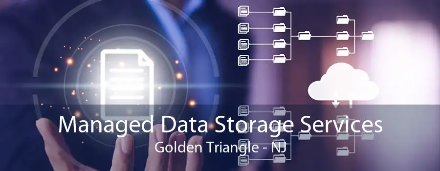 Managed Data Storage Services Golden Triangle - NJ